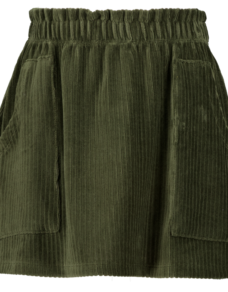 Vingino Qestha strong army