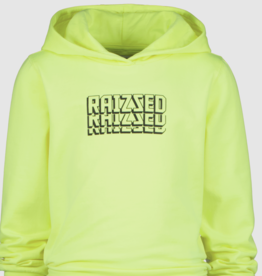 Raizzed Nobres Neon Yellow