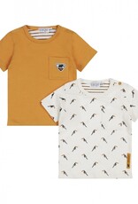 Dirkje R jungle camel