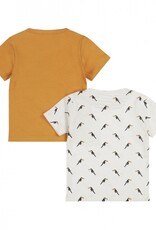 Dirkje R jungle camel