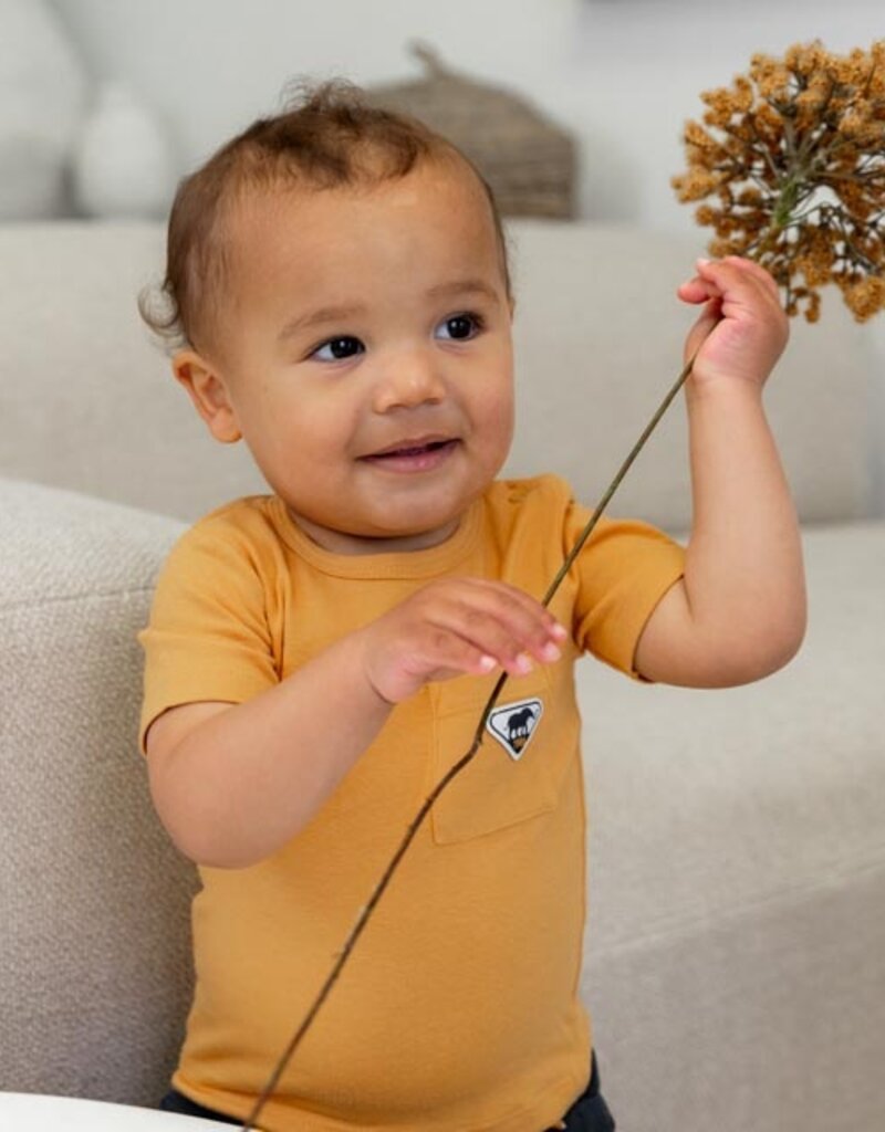 Dirkje R jungle camel