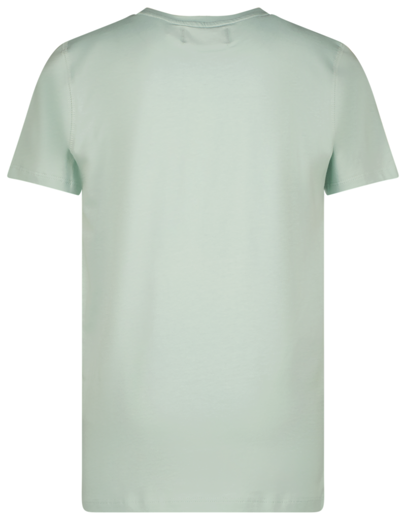 Raizzed Huck pistachio green