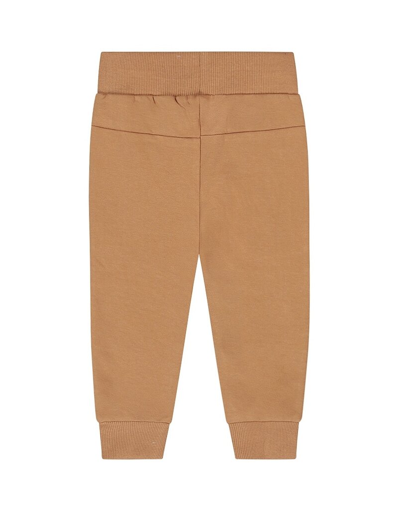 Dirkje Q boys lets get going brown