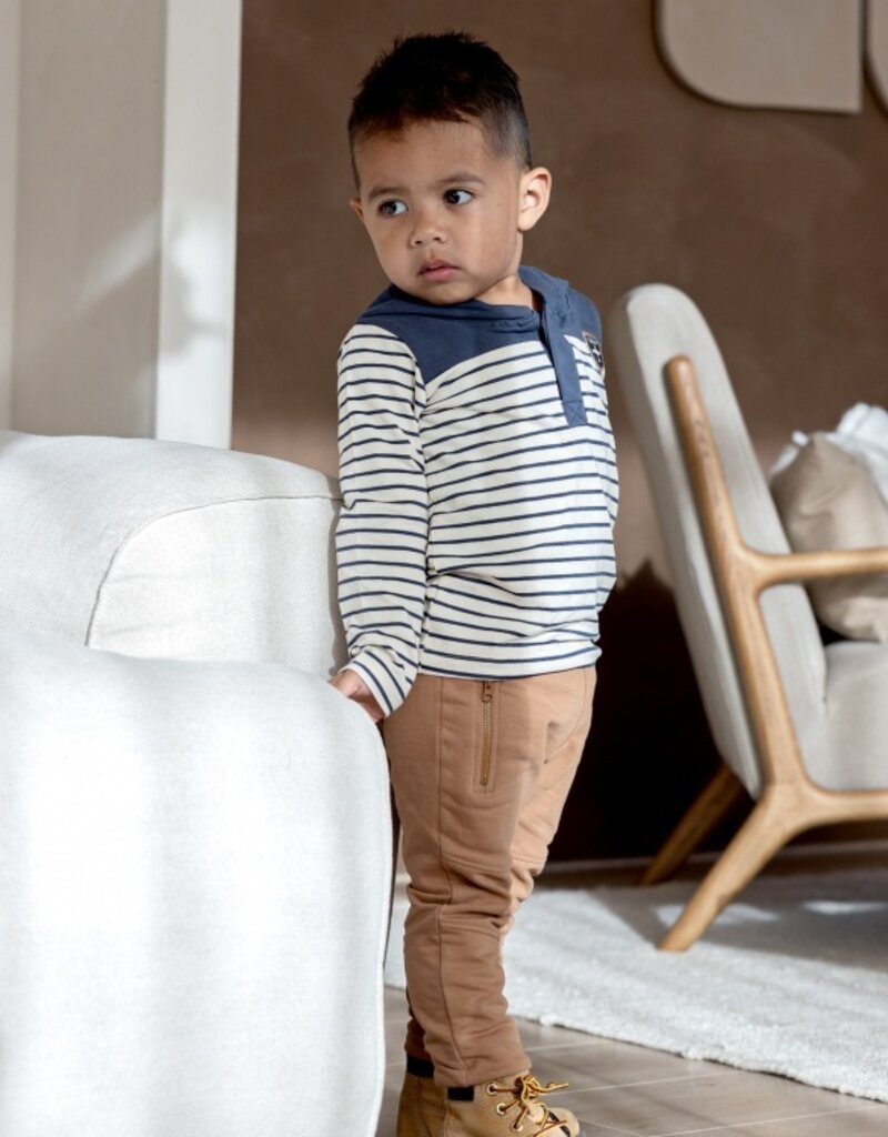 Dirkje Q boys lets get going brown