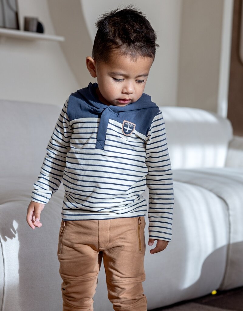 Dirkje Q boys lets get going brown