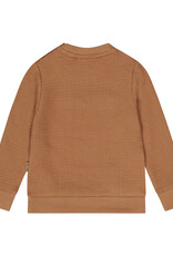 Dirkje Q boys brown