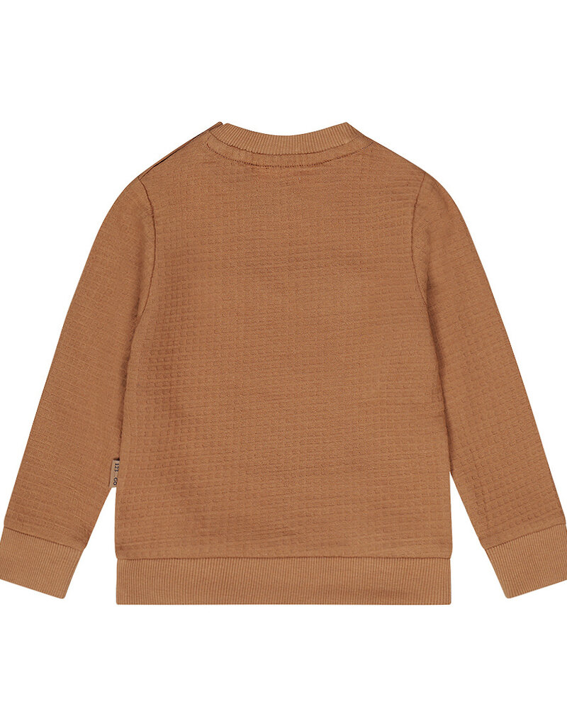 Dirkje Q boys brown