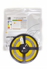 LedLed VARO led strip | 19,2W/m | 2700k+6000k | 24V | 5m | 8mm