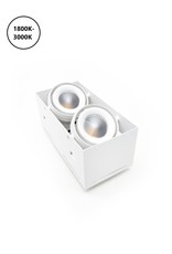 LedLed TWINNY trimless led inbouwspot wit