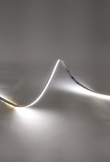 LedLed VARO led strip | 12W/m | 6000k | 24V | 5m | 10mm