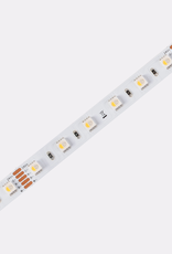 LedLed VARO led strip | 19,2W/m | RGB + 3000k | 24V | IP67 | 12mm