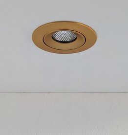 LedLed ADDY led kantelspot rond goud dimbaar - Pro reflector