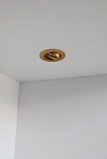 LedLed ADDY led kantelspot rond goud dimbaar - Pro reflector