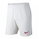 Nike NIKE Portugal Away Short