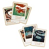 2018/2019 Last/First Geocoin et 2 Tags Set