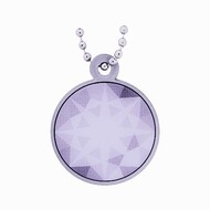 Mystery at the Museum Travel Tag - Diamond