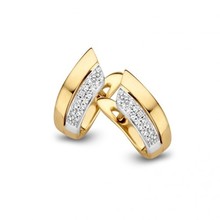 HuisCollectie HuisCollectie Creolen 14k bicolor met diamant 604212