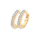 Blush Blush Creolen 14k bicolor met zirkonia 7129BZI