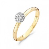 Blush Blush Ring 14k bicolor met zirkonia 1131BZI