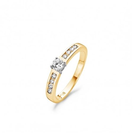 Blush Blush ring 14k bicolor met zirkonia 1125BZI