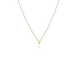 MissSpring Miss Spring Collier 14k Geelgoud  MSC500 Collier C’est moi star 605377