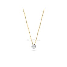 Blush Blush Diamonds Collier 14k bicolor met diamant 3600BDI