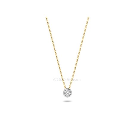 Blush Blush Diamonds Collier 14k Geelgoud met 0.04ct diamant 3600BDI