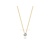 Blush Blush Diamonds Collier 14k bicolor met diamant 3600BDI