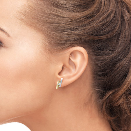 R&C R&C Oorstekers Penelope 14k geel/witgoud met 0.06ct SI/R diamant OOR0003/GG/WG