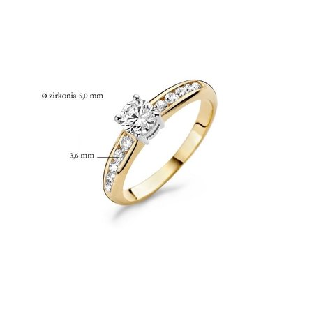 Blush Blush Ring 14k bicolor met zirkonia 1154BZI