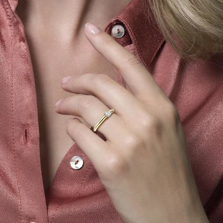 Blush Blush Ring 14k bicolor met zirkonia 1067BZI