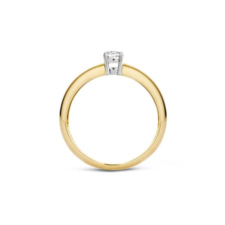 Blush Blush Ring 14k bicolor met zirkonia 1067BZI