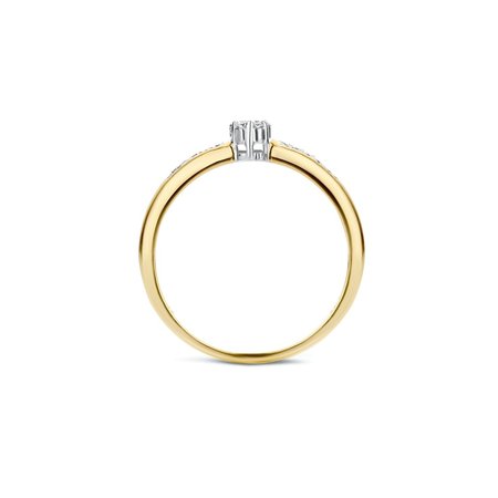 Blush Blush Ring 14k bicolor goud met diamant 1625BDI