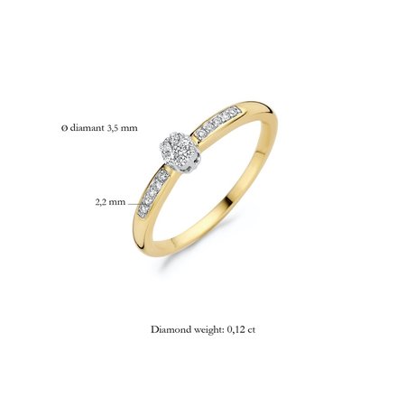 Blush Blush Diamonds Ring 14k biclolor met diamant 1625BDI