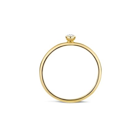 Blush Blush Ring 14k geelgoud met zirkonia 1198YZI