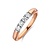 R&C R&C Ring Signature Allaince 18k Bicolor met diamant RIN5107-4-18RG-PW