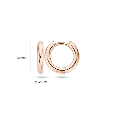 Blush Blush Creolen 14k roségoud 7133RGO