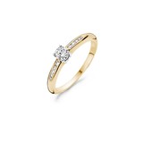 Blush Blush Ring 14k bicolor met zirkonia 1155BZI