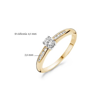 Blush Blush Ring 14k bicolor met zirkonia 1155BZI