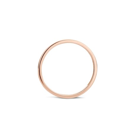 Blush Blush Ring 14k roségoud 1197RGO