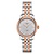 Tissot TISSOT Le Locle Automatic Lady 29mm T006.207.22.038.00