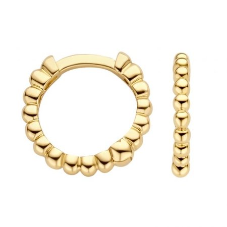 Blush Blush Creolen 14k geelgoud 7264YGO