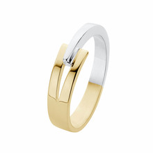 NOL sieraden NOL 14k bicolor gouden ring AUB77138.6