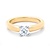 R&C R&C Ring Feline 14k geelgoud met 0.05ct SI/R diamant RIN0082-0.05-SIR