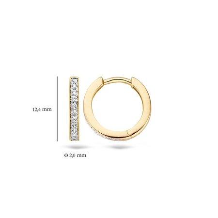 Blush Blush Creolen 14k bicolor met zirkonia 7163BZI