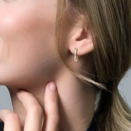 Blush Blush Creolen 14k bicolor met zirkonia 7163BZI