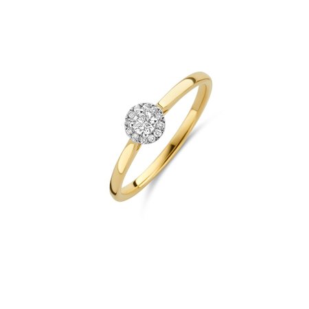 Blush Blush Diamonds Ring 14k geelgoud met witgoud chaton en diamant 1648BDI