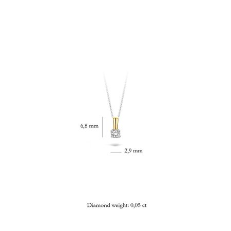 Blush Blush Diamonds Hanger 14k bicolor met 0.05ct diamant 6600BDI