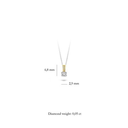 Blush Blush Diamonds Hanger 14k bicolor met diamant 6600BDI