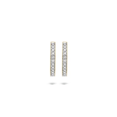 Blush Blush Diamonds Creolen 14k geelgoud met diamant 7612BDI